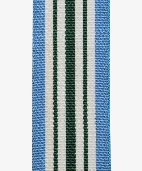 USA, Joint Service Commendation Medal, Community Service Recognition Medal (332)